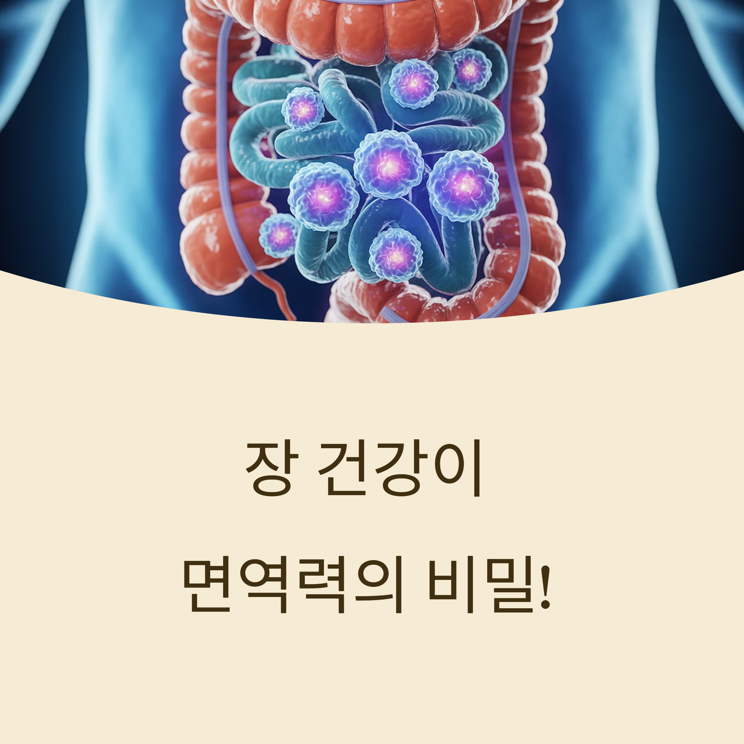 장 건강 회복으로 면역력 높이는 전략