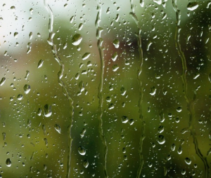 2024년 장마 시작시기