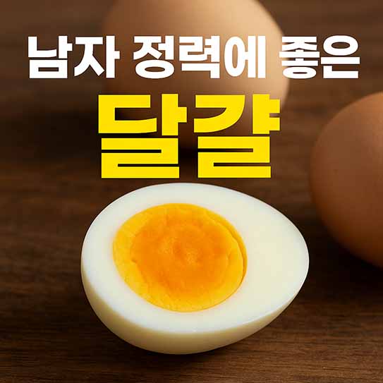 남자 정력에 좋은 음식 달걀 영양 효과 부작용 섭취 방법 알아보기