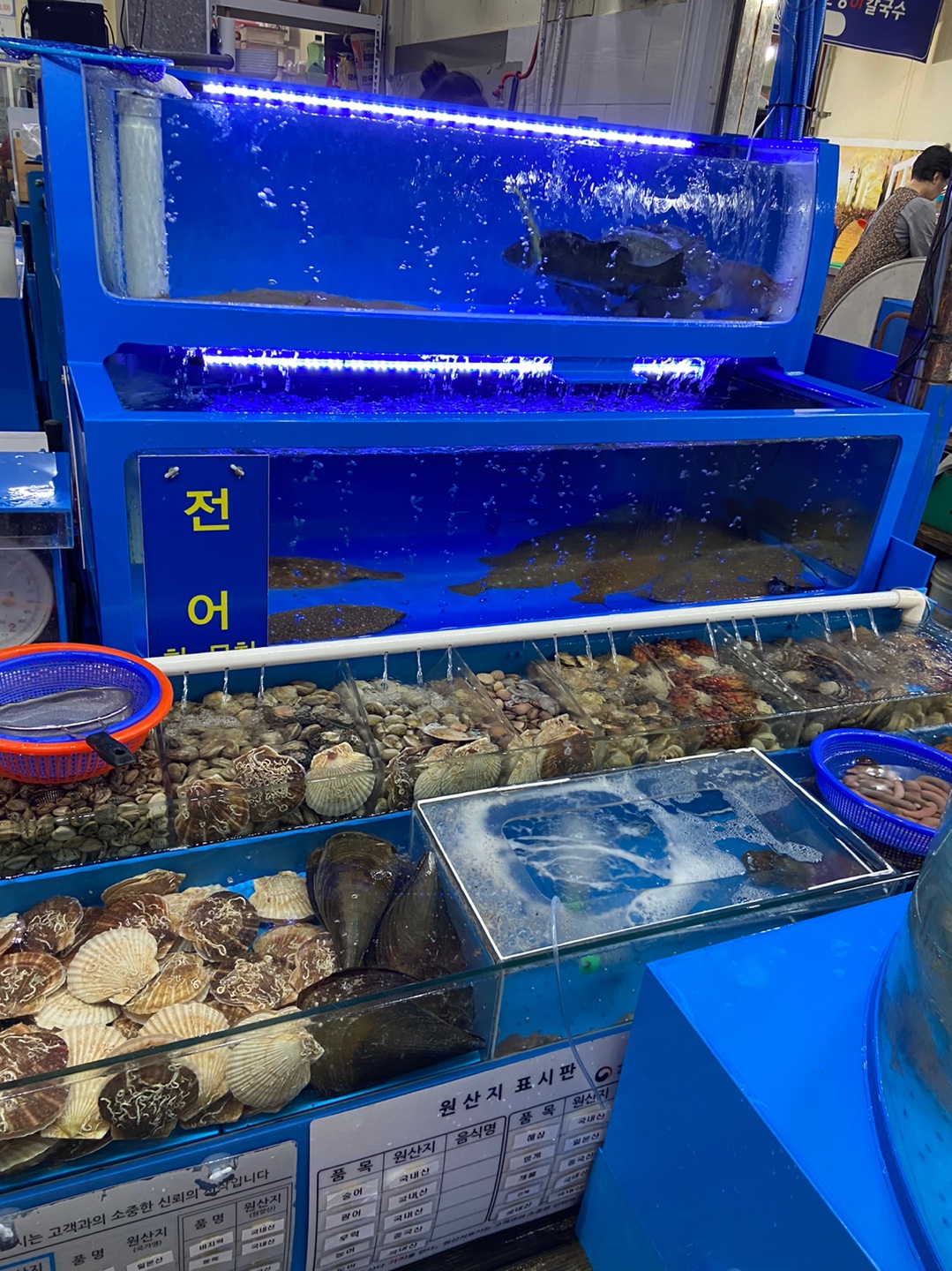 강화도여행 맛집