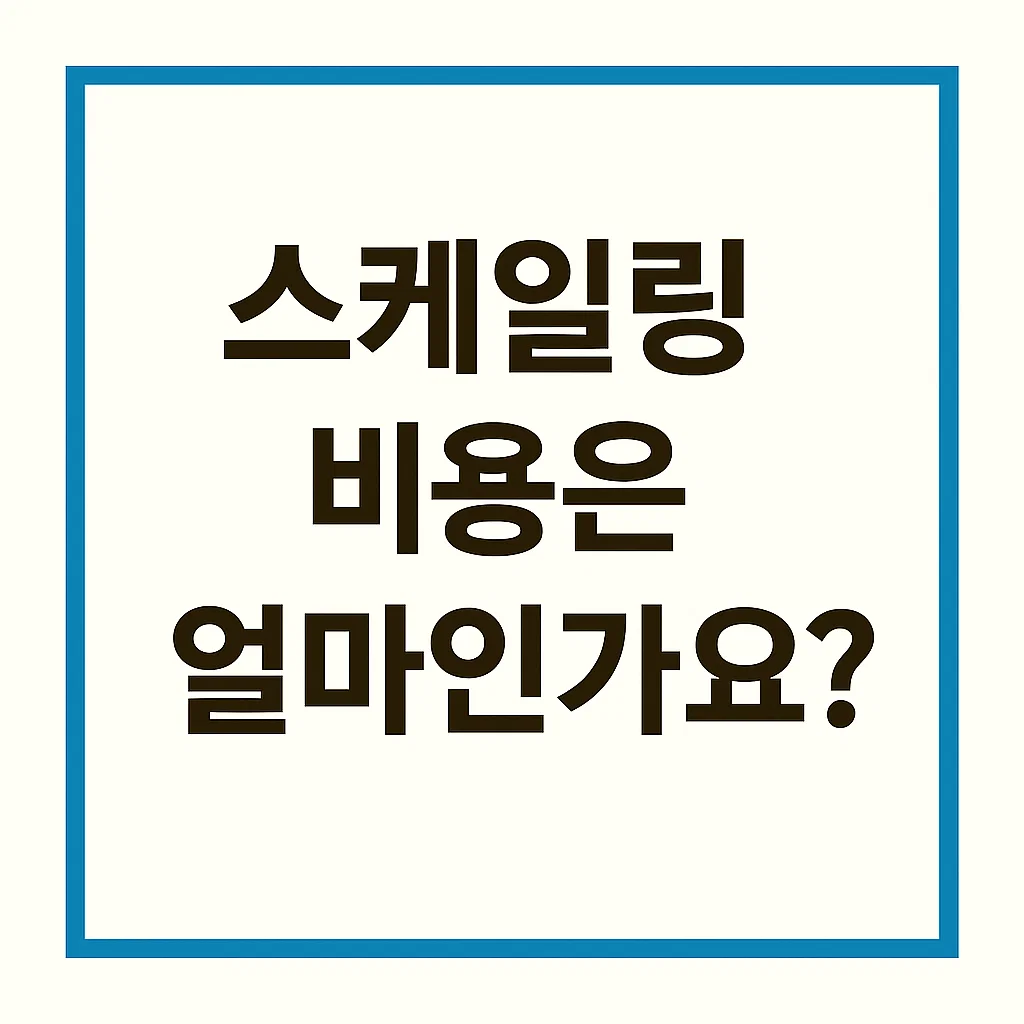 스케일링 비용2