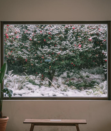 제주 겨울 여행지 동백꽃 명소 추천