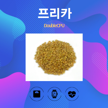 프리카 알아보기