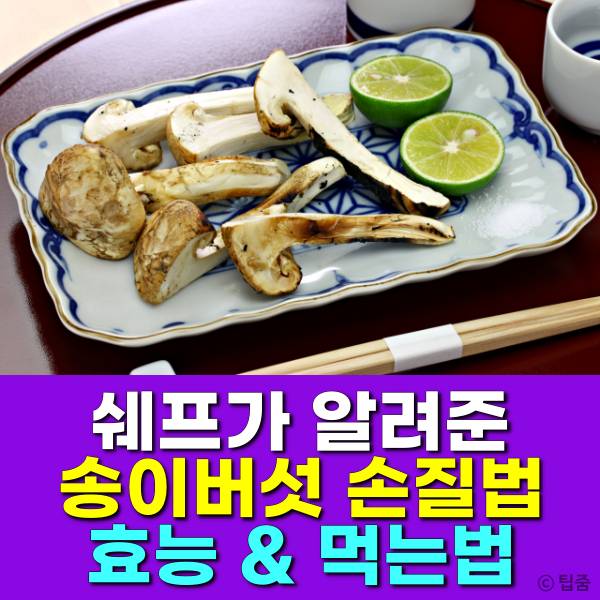 송이버섯 손질 세척 씻는법 효능 먹는법,팁줌