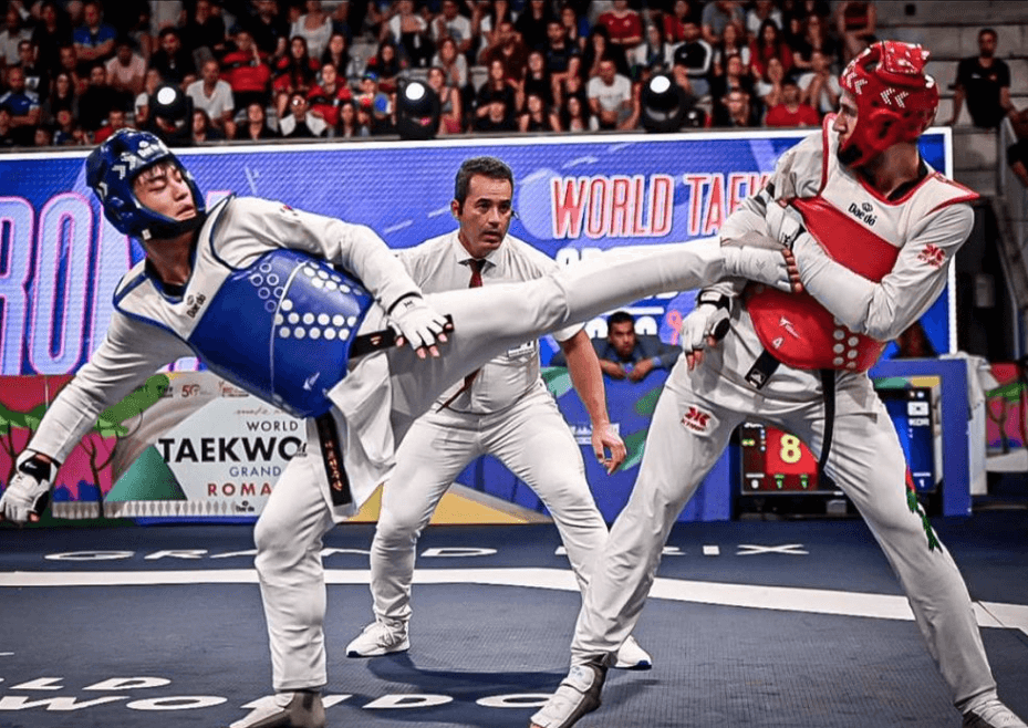 올림픽 태권도 일정