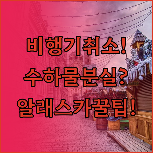 알래스카 항공 비행기 취소 수하물 분..
