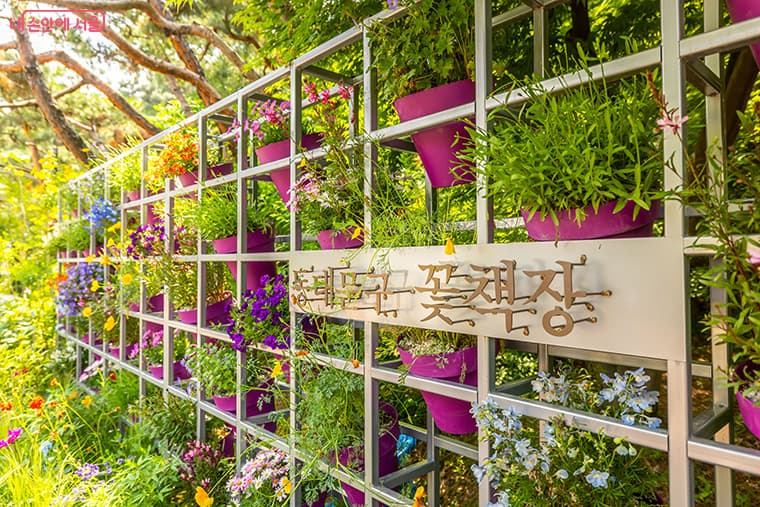 2025 서울국제정원박람회