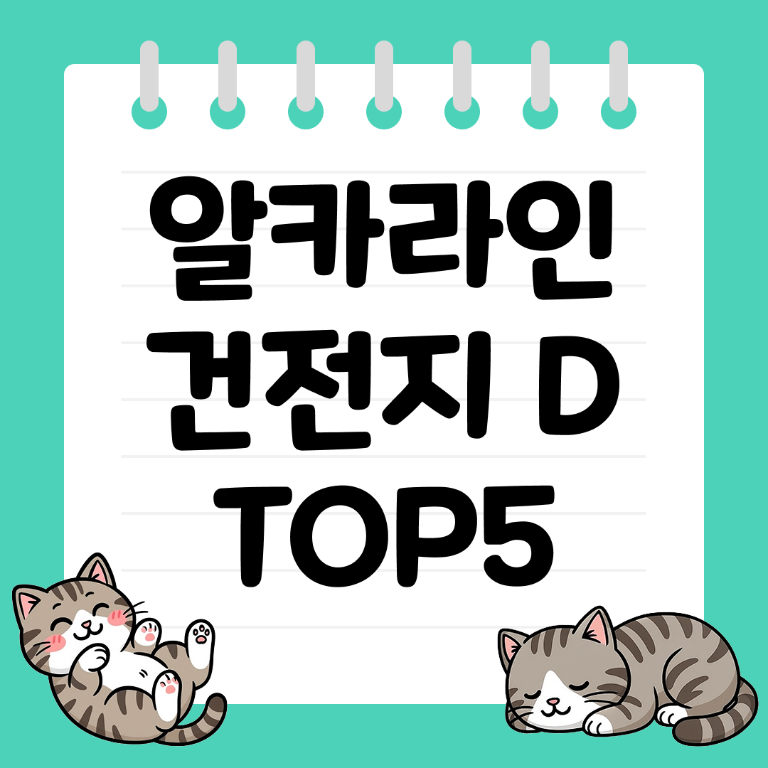 내구성과 용량 모두 뛰어난 알카라인 건전지 D 추천 순위 TOP5
