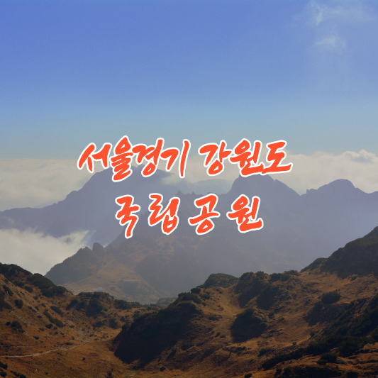 서울 경기 강원 여행