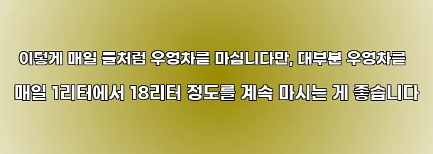  이렇게 매일 물처럼 우엉차를 마십니다만, 대부분 우엉차를 매일 1리터에서 18리터 정도를 계속 마시는 게 좋습니다