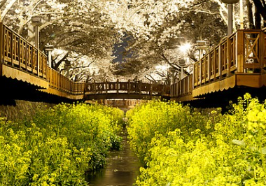 진해 가볼만한곳 베스트10