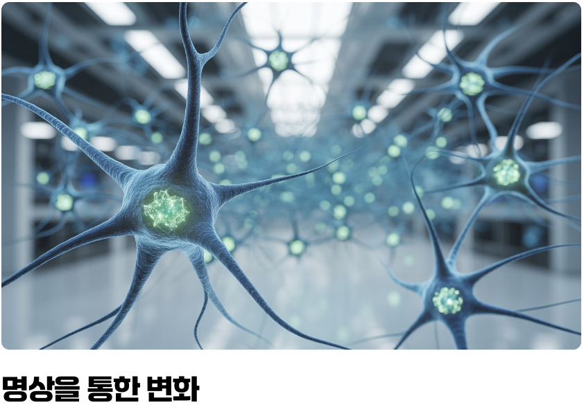 '배움'과 '기억'의 중심, 해마가 커진다