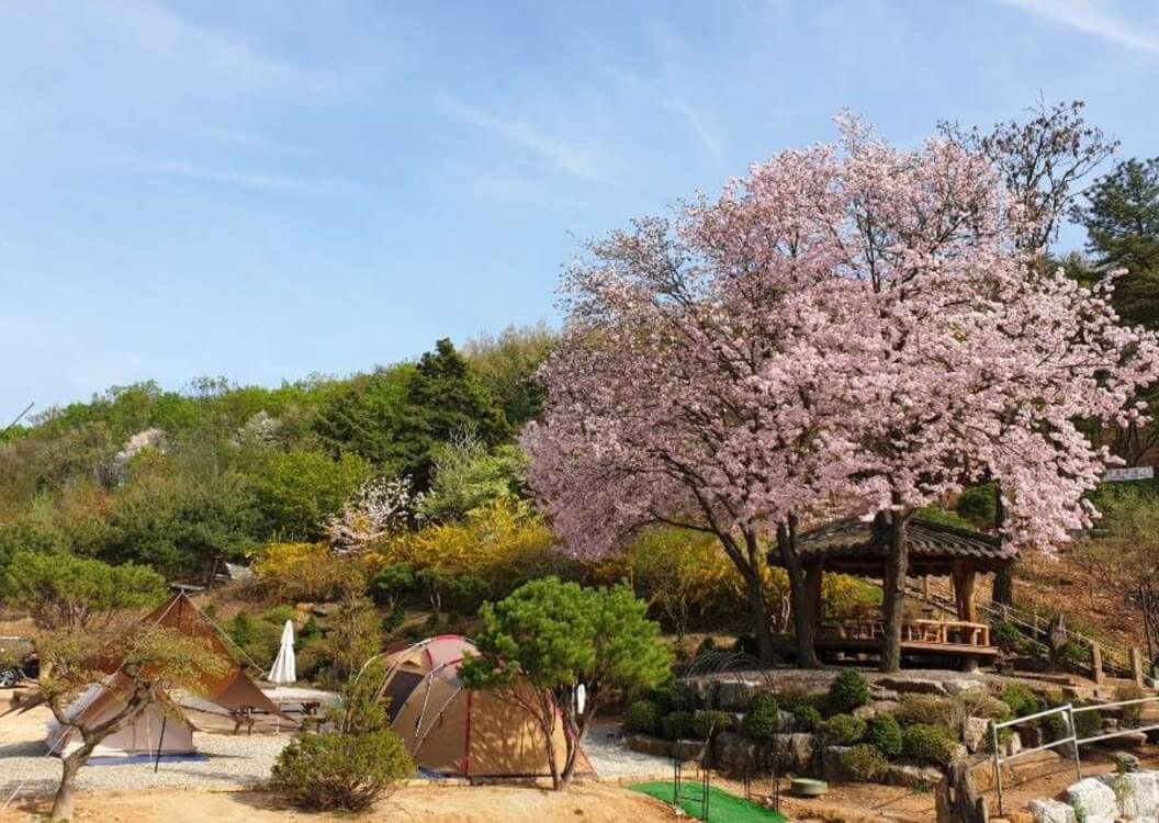 경기도 캠핑장 추천