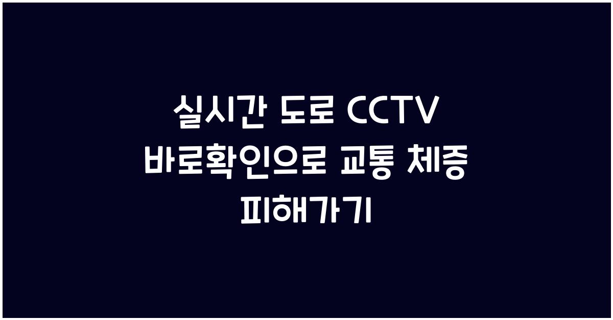 실시간 도로 cctv 바로확인