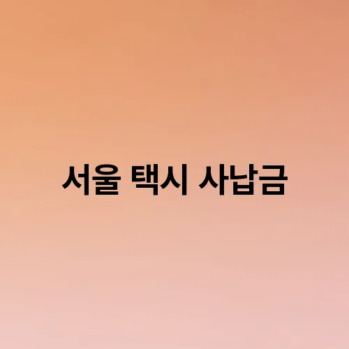 서울 택시 사납금