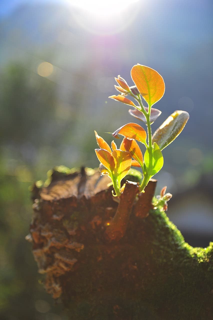 블록체인 엔지니어란