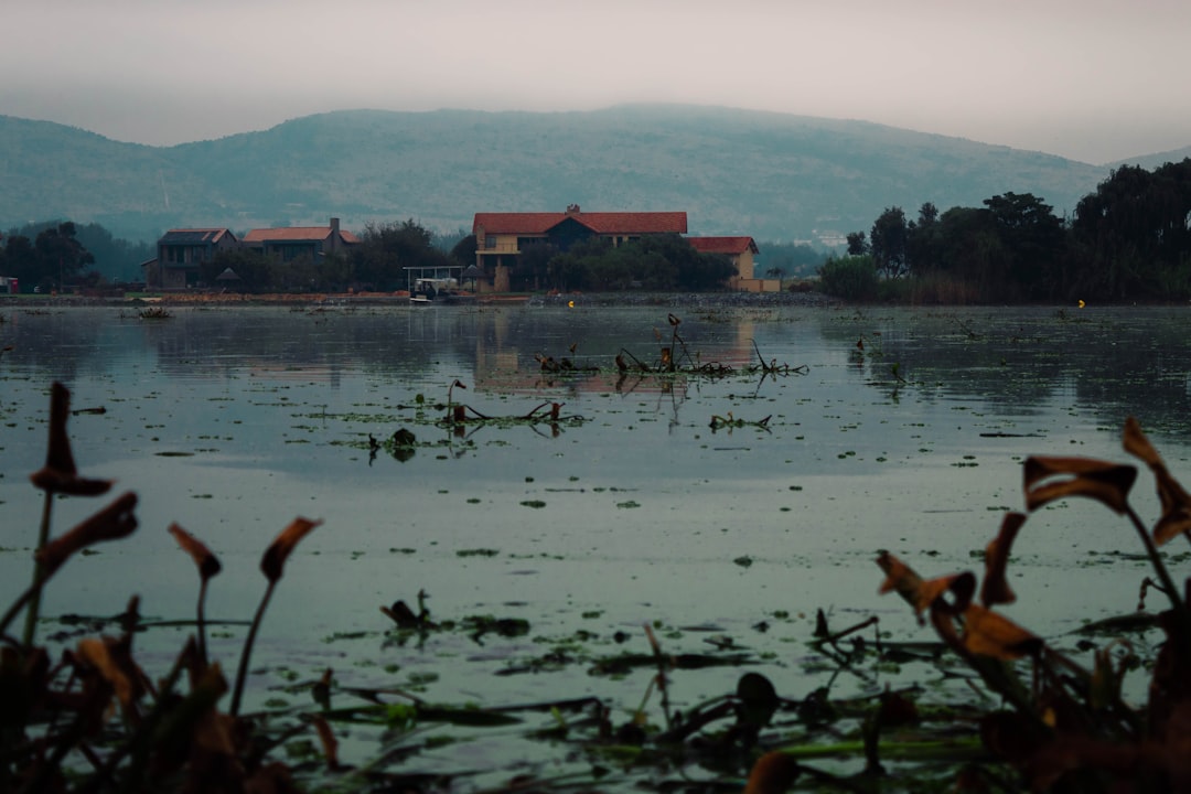 윤석열 파면 가능성: 재구속 시나리오와 정치적 파장 관련 이미지 1
