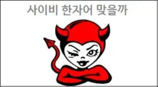 사이비 한자어 맞을까
