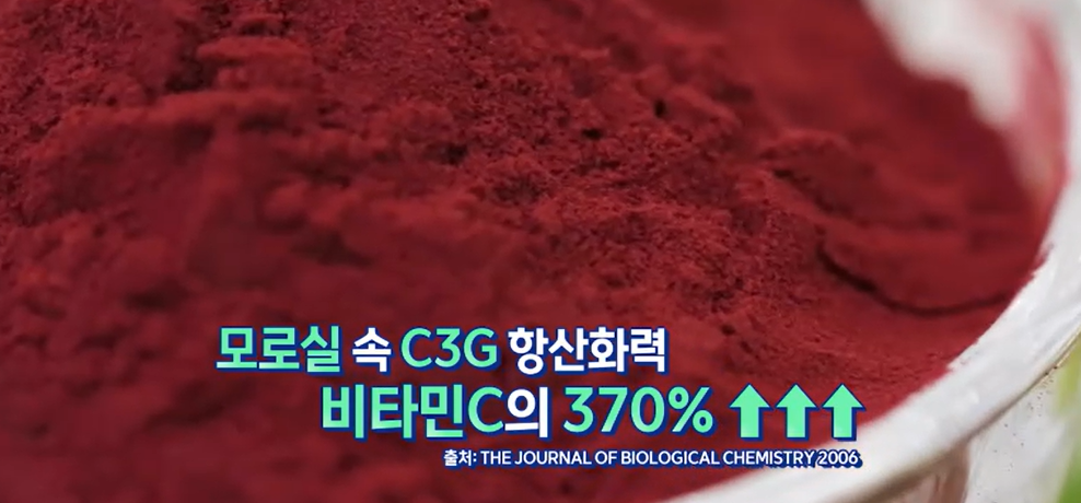모로실 효능