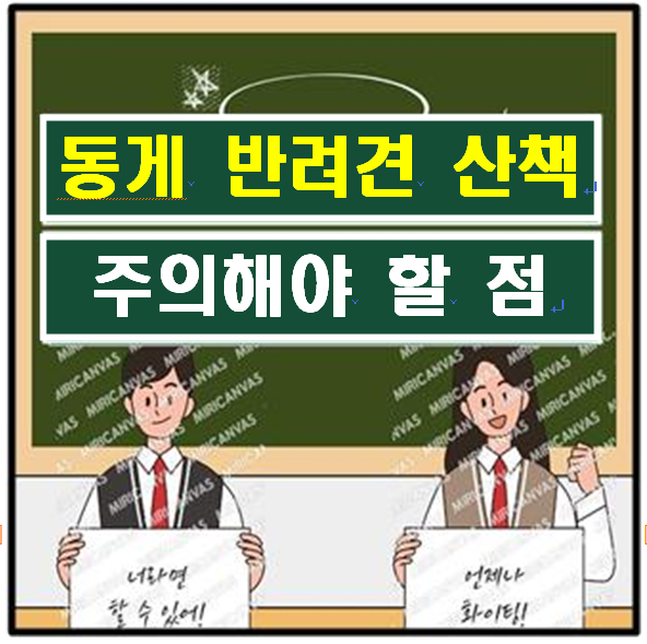 반려견