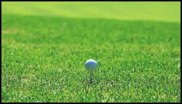 파크골프채 가격 추천 (혼마, 피닉스, 미즈노)