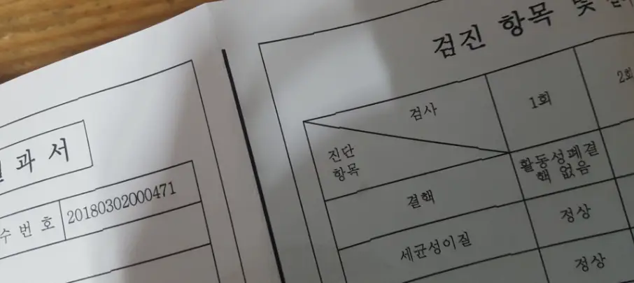 보건증-비용-유효기간