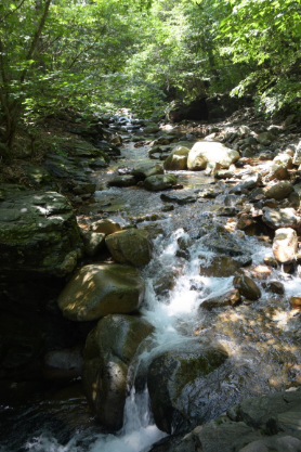 대전근교 물놀이 대둔산 수락계곡 추천(출처-네이버플레이스)