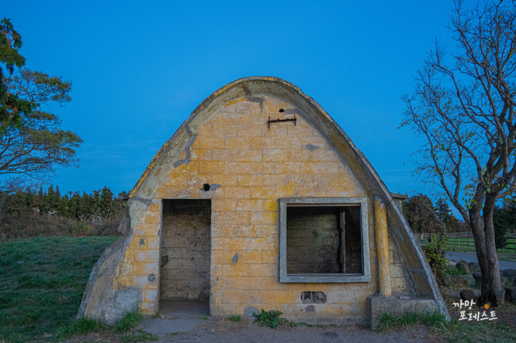 제주 성이시돌 목장