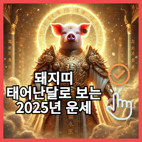 태어난달별 2025년 돼지띠운세