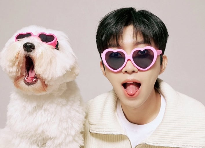 임영웅 컴백 _ '천국보다 아름다운' 이 특별한 이유!