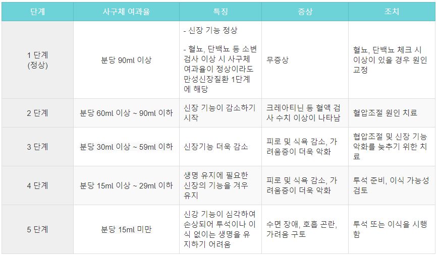 사구체여과율계산기
