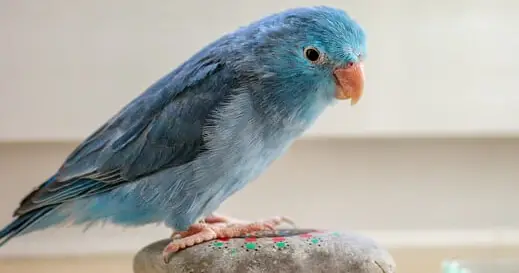 아빠 육아휴직 장려금 신청 방법