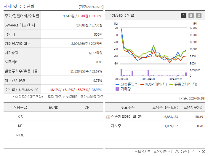 신송홀딩스_기업개요