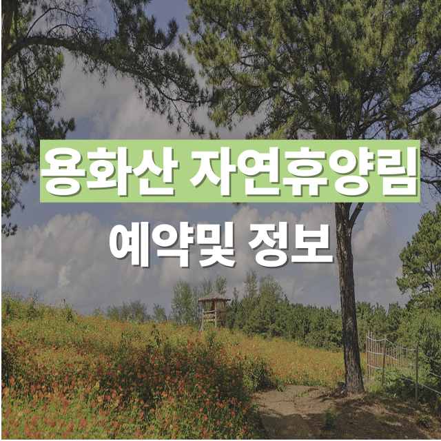 국립용화산자연휴양림 예약 방법 및 공식 사이트 안내