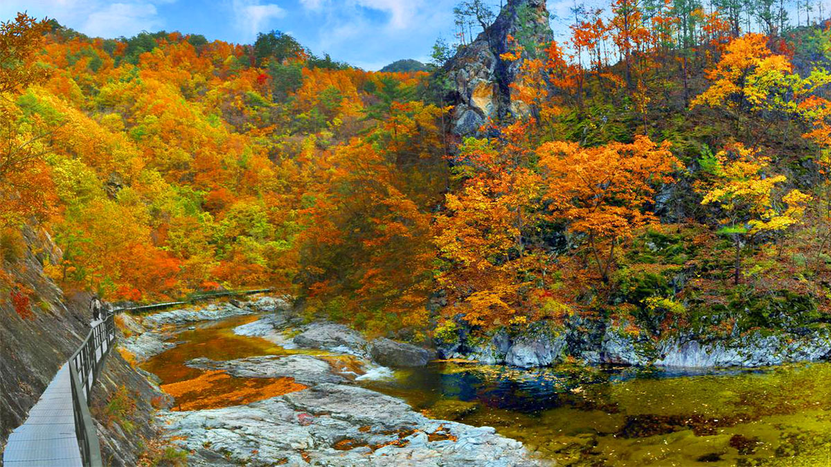 앞산