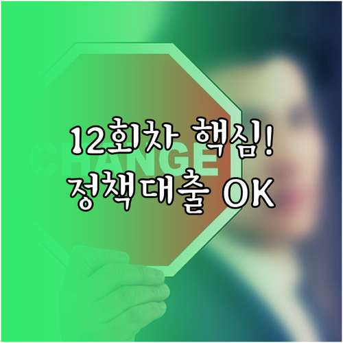 개인회생 인가 후 12회차 이상 납부..