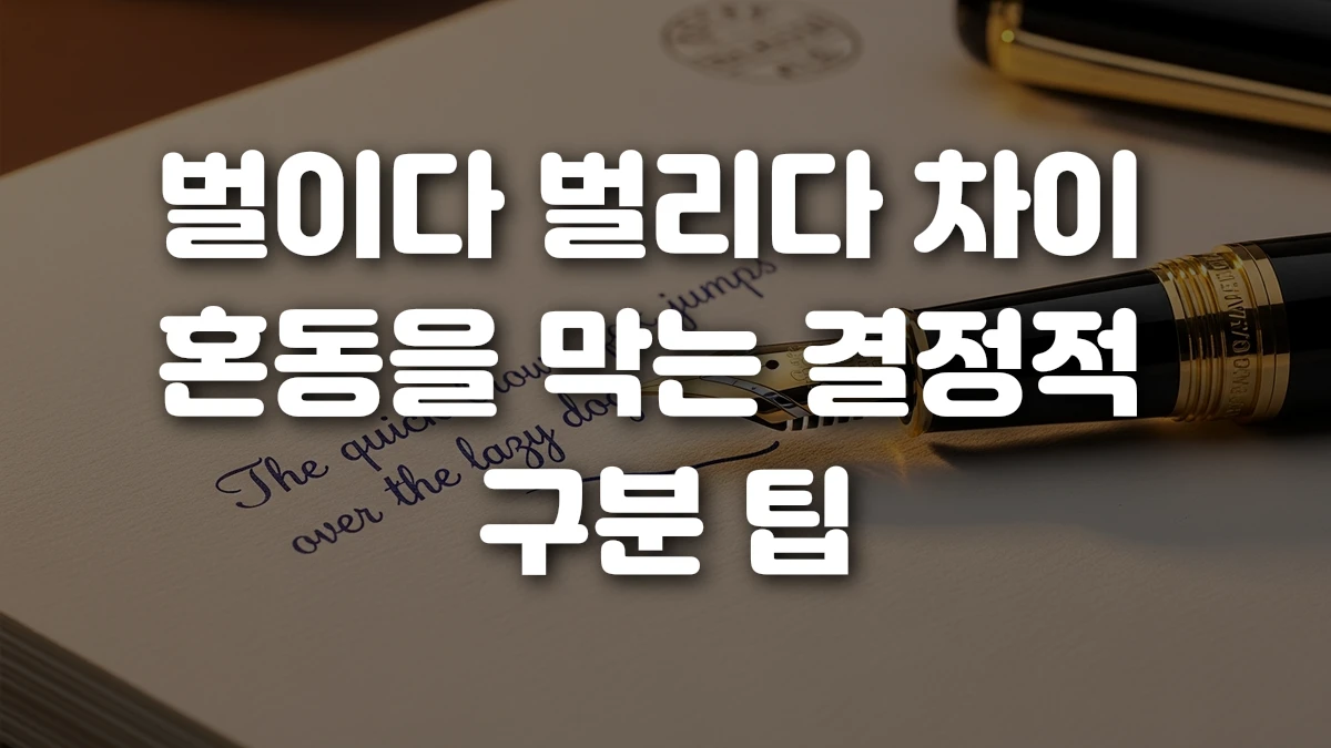 벌이다 벌리다 차이 혼동을 막는 결정적 구분 팁