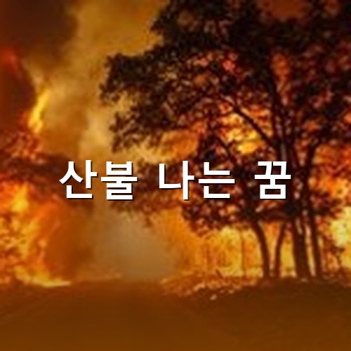 불이-산전체를-덮어-씨뻘겋게-타오르는-모습