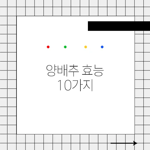 양배추 효능 10가지, 부작용