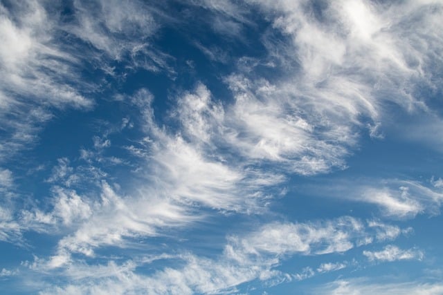 세시선: 간호사의 손끝에서 전해지는 위로