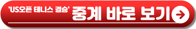 US오픈 테니스 결승