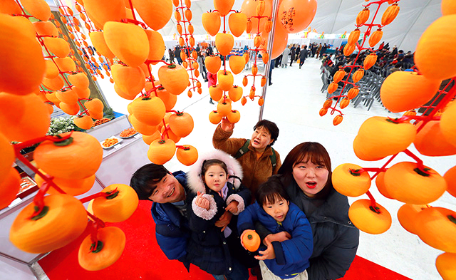 지리산 함양 고종시 곶감축제
