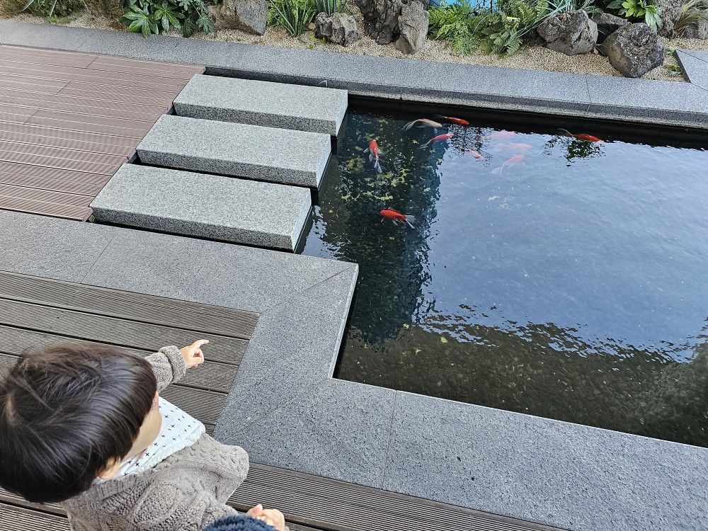 라발스호텔 금붕어