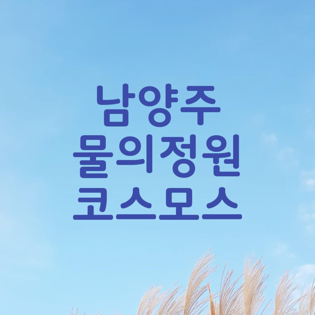 남양주 물의정원 황화코스모스 개화 정보