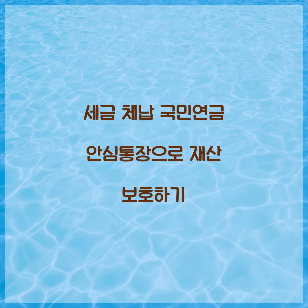 세금 체납 국민연금 안심통장