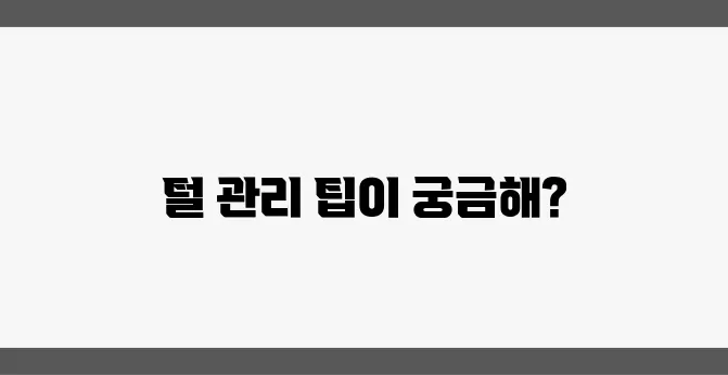 고양이 털 관리의 스마트한 방법: 효과적으로 관리하기!