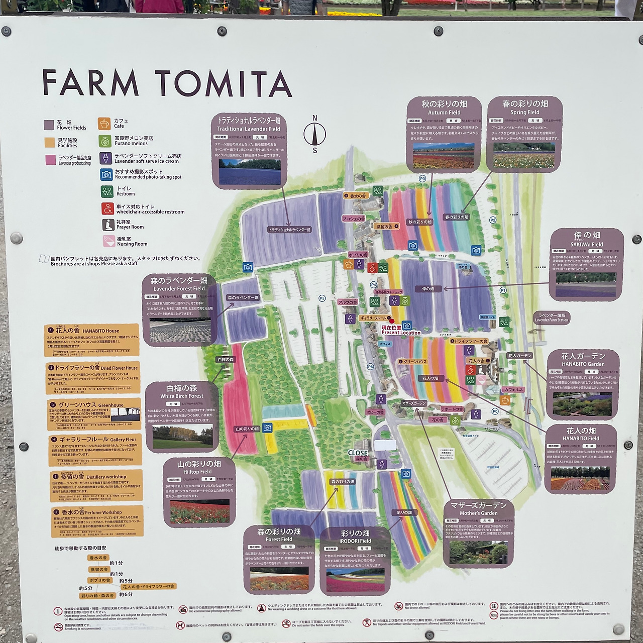 tomita1