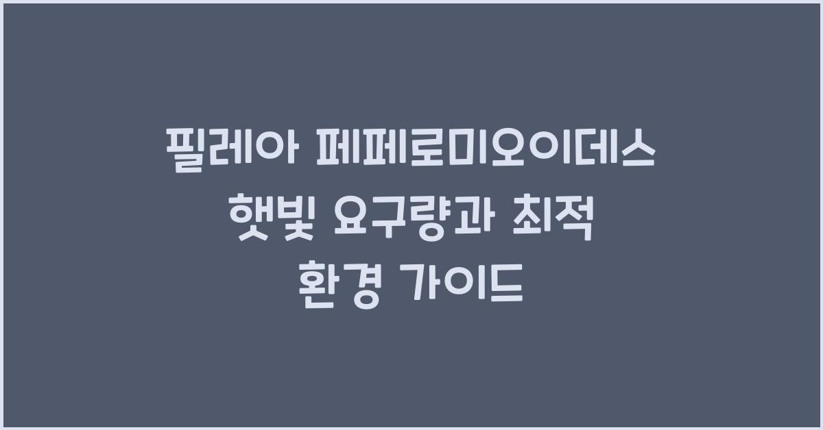 필레아 페페로미오이데스 햇빛 요구량