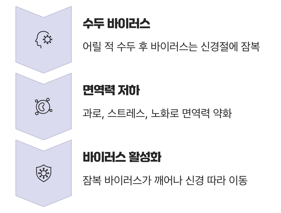 어릴 적 수두, 몸속의 시한폭탄