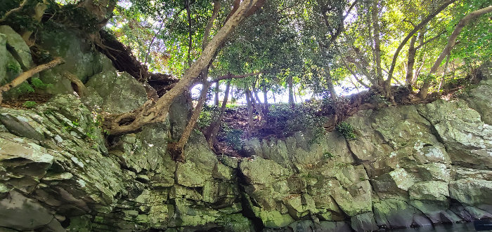 제주도여행 쇠소깍 카약타기 제주도레저 제주도 즐길거리 카약타러가는길 쇠소깍의미 쇠소깍전설 쇠소깍선착장 쇠소깍시작지점 쇠소깍풍경감상